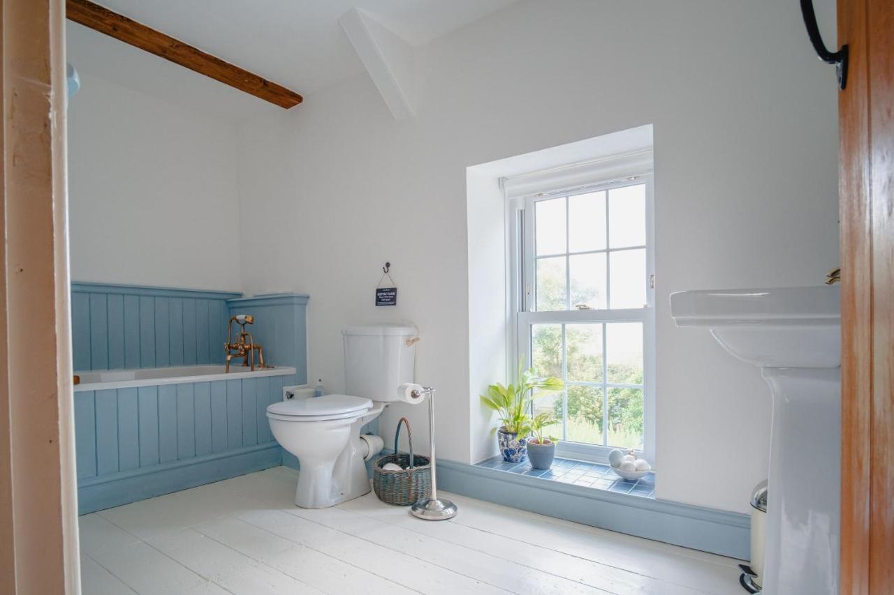 The Green Door Vegan B&B Llanon Zewnętrze zdjęcie