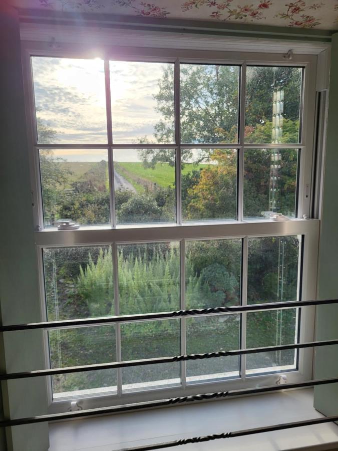 The Green Door Vegan B&B Llanon Zewnętrze zdjęcie