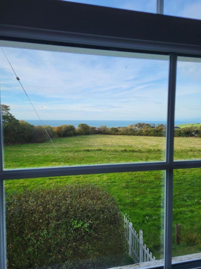 The Green Door Vegan B&B Llanon Zewnętrze zdjęcie