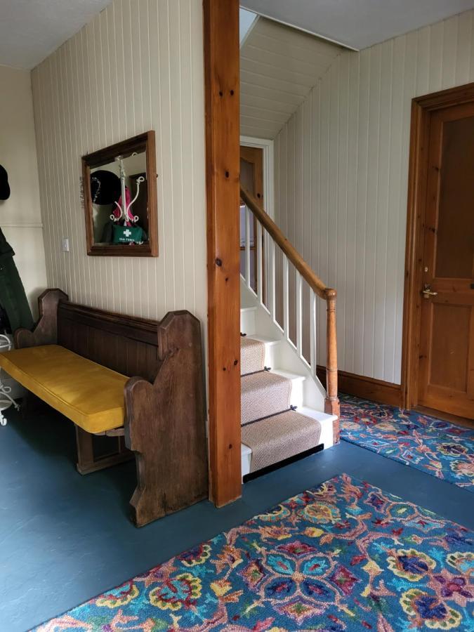 The Green Door Vegan B&B Llanon Zewnętrze zdjęcie