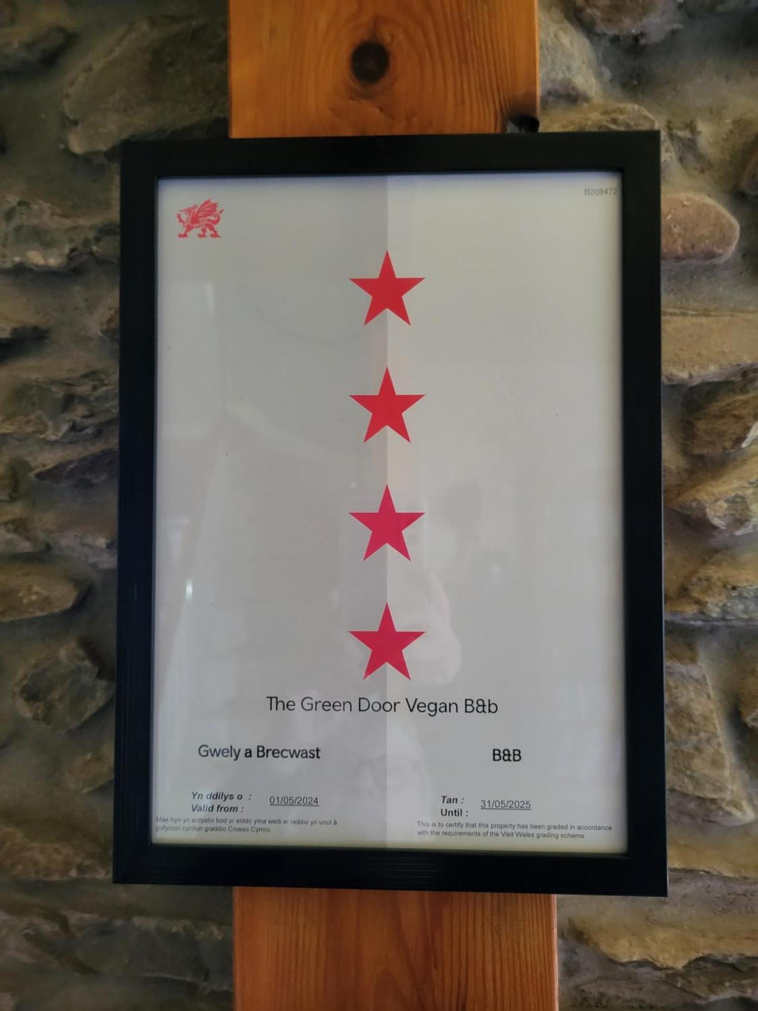 The Green Door Vegan B&B Llanon Zewnętrze zdjęcie